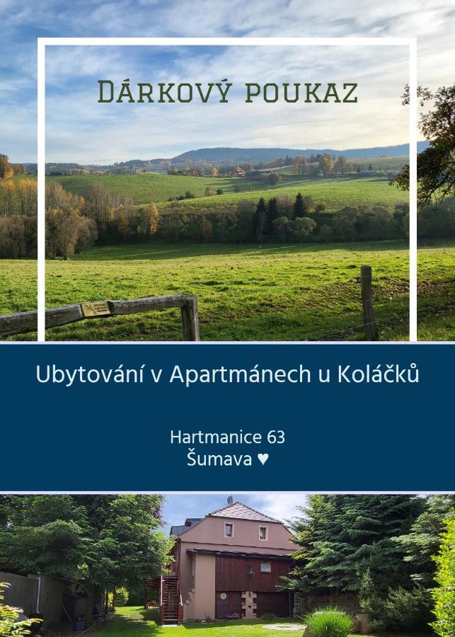 Apartmány u Koláčků Hartmanice  Esterno foto